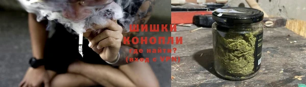 гидропоника Нязепетровск