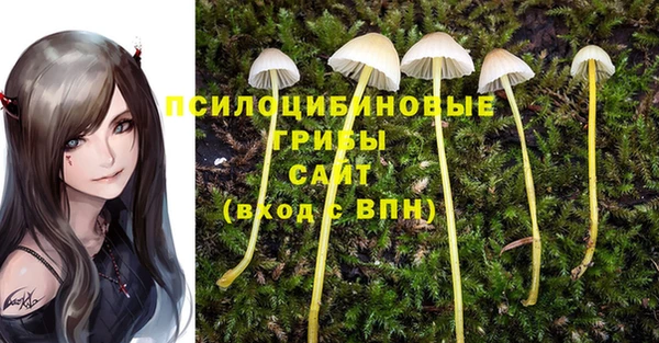 ГАЛЛЮЦИНОГЕННЫЕ ГРИБЫ Няндома