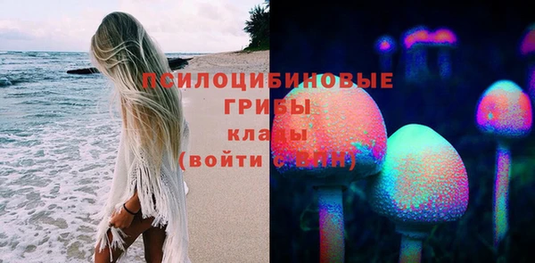 спайс Нягань