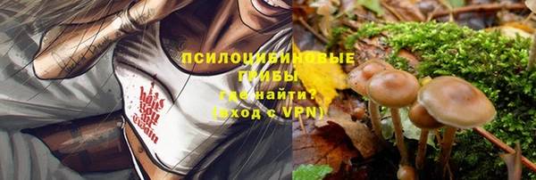 спайс Нягань