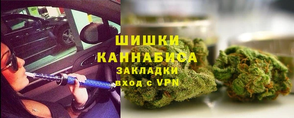 ГАЛЛЮЦИНОГЕННЫЕ ГРИБЫ Няндома