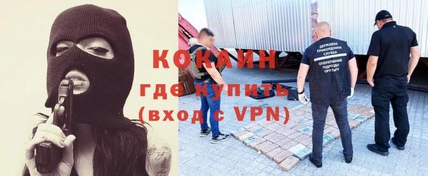 ГАЛЛЮЦИНОГЕННЫЕ ГРИБЫ Няндома