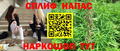 сатива Апшеронск