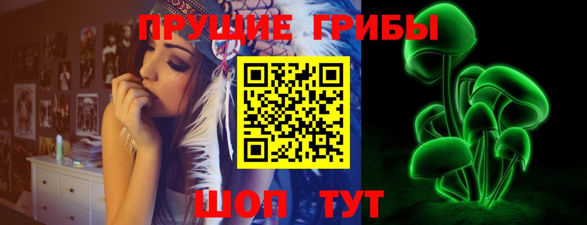 Псилоцибиновые грибы GOLDEN TEACHER  Галлюциногенные грибы ЛСД  Белгород 